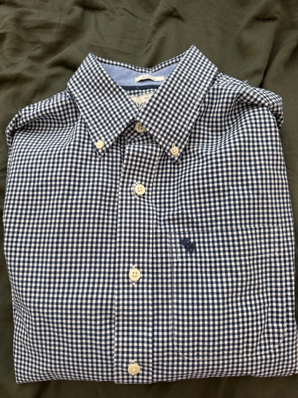 Abercrombie & Fitch Navy and White Gingham Button-Down Shirt